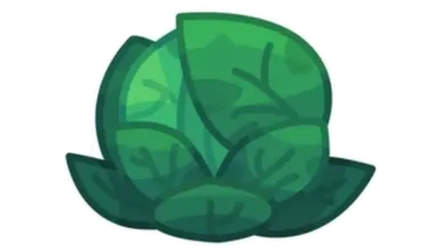 CABBAGE SEED